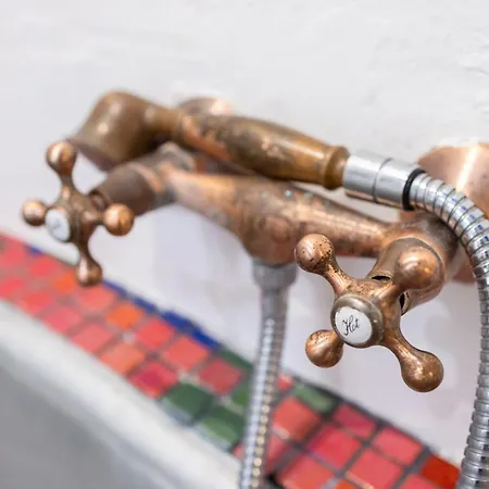 Alma Do Paco Santo Isidoro